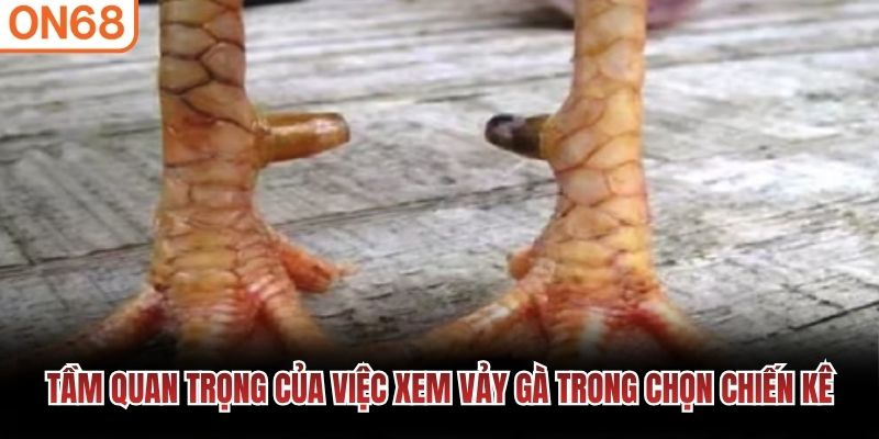 Tầm quan trọng việc xem vảy&nbsp;